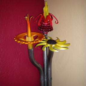 Flora Americana